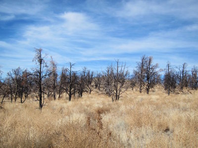 Bodie and Mono Lake 2014