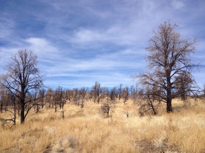 Bodie and Mono Lake 2014