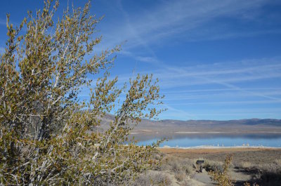 Bodie and Mono Lake 2014