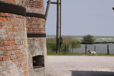 Zuiderzeemuseum
