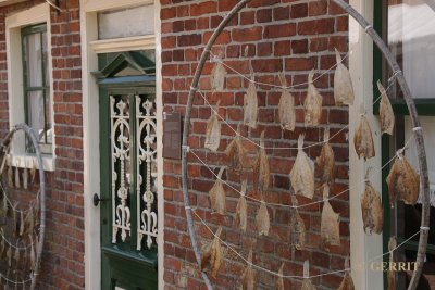 Zuiderzeemuseum