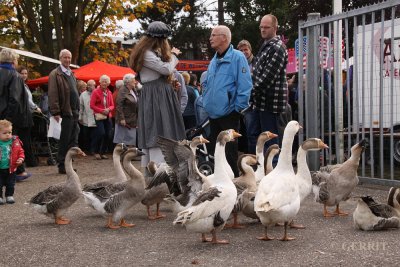 Participants and visitors; Deelnemers en bezoekers
