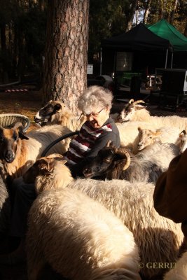 Wool knitting