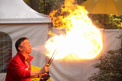 Losser; Twente fair oktober 2013