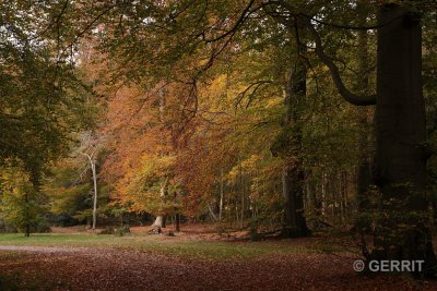 Hilversum