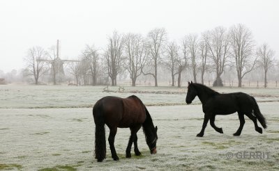 Loenen aan de Vecht