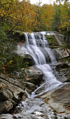 Upper Creek 1