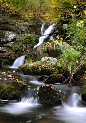 Spivey Creek 1
