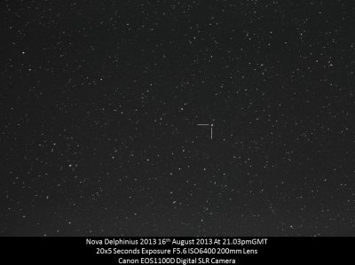 NOVA DELPHINIUS 16th AUGUST 2013.jpg