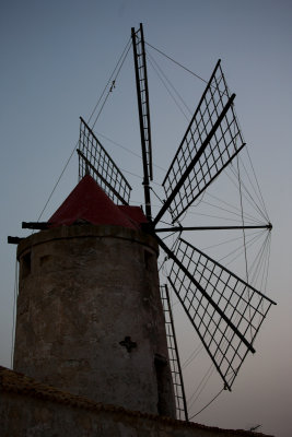 IMG_6753.jpg