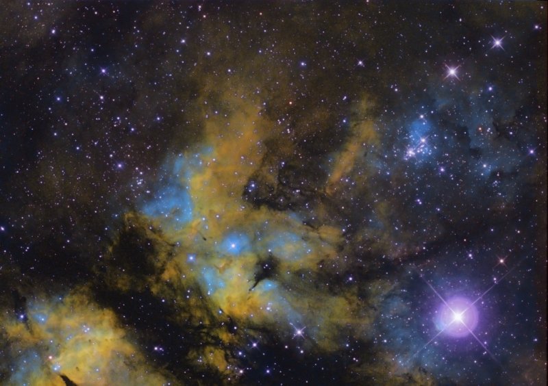IC 1318 