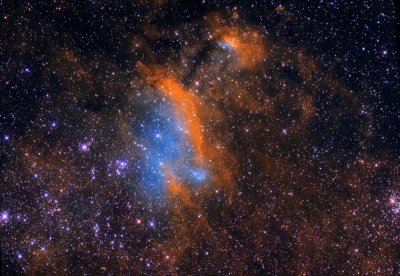 IC 4628 Der Garnelennebel