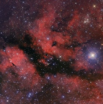 IC 1318 Schmetterlingsnebel