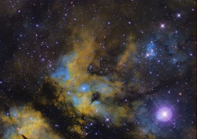 IC 1318 