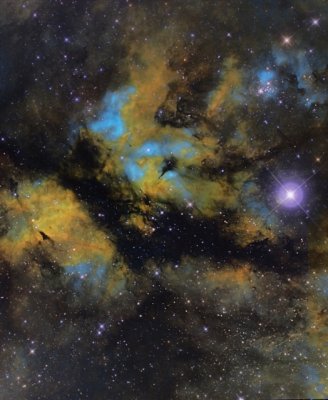 IC 1318 