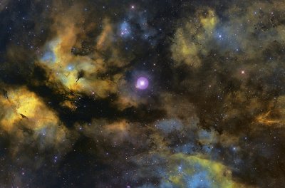 IC 1318
