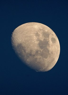 Mond