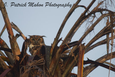 IMG_6813_DxO.jpg