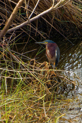 IMG_0089_DxO.jpg