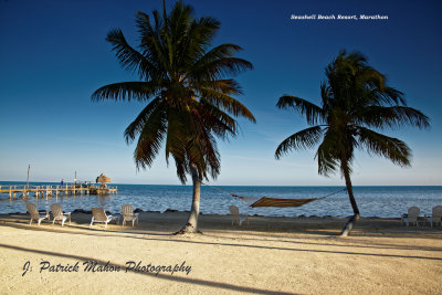 DB0A2663_DxO.jpg