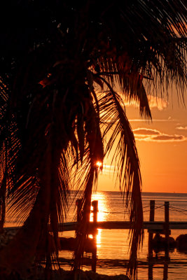 IMG_0594_DxO.jpg