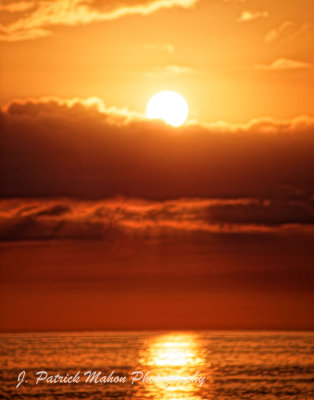 DB0A2861_DxO.jpg