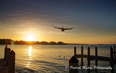 DB0A2685_DxO.jpg