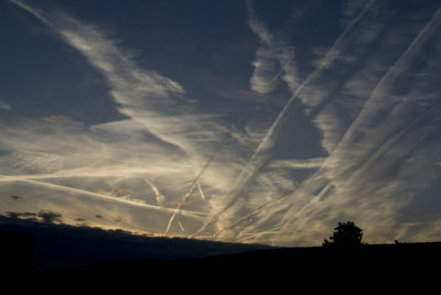 Flightpaths