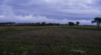 Dull day: farmland