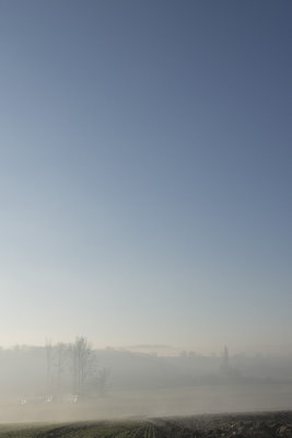 Field, fog, sky