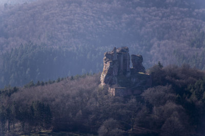 Fleckenstein