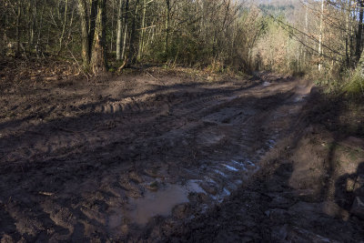 Loggers this way