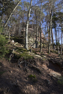 Loewenstein from well below