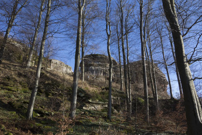 Loewenstein