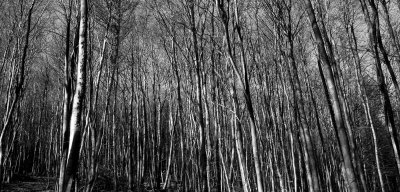 Out in the sticks