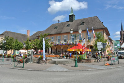 Trèfle du Pfaffenschlick, Lembach, 6 juillet 2014