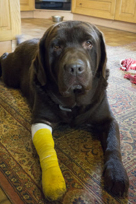 Raz, post-op