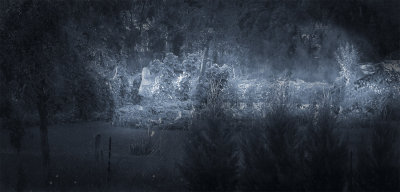 Midnight in the garden