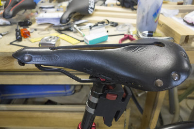 Selle Anatomica X