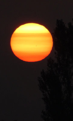 ...and a sunspot too.