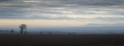 Vosges du Sud vu des Vosges du Nord