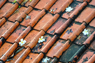 Roof Tiles