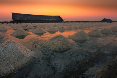 Field of Salt Thailand