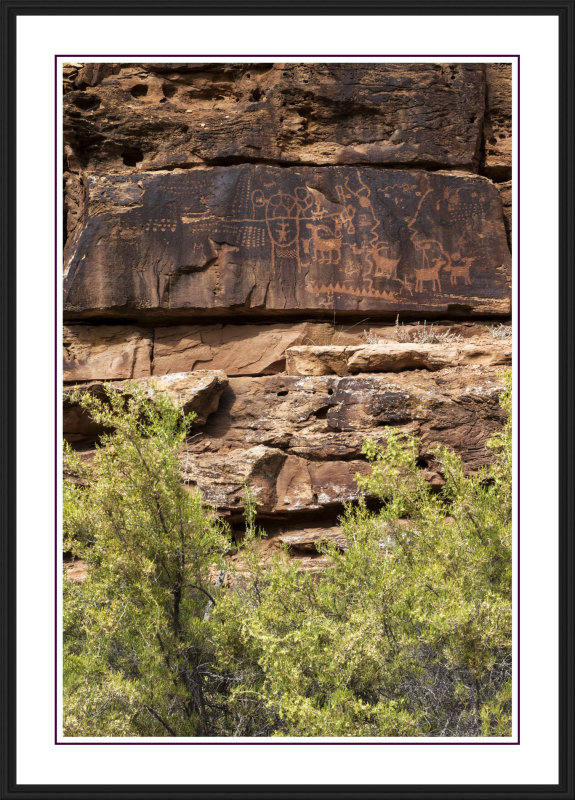Nine Mile Canyon Panel
