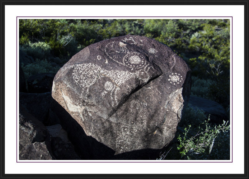 Three Rivers Petroglyph Site