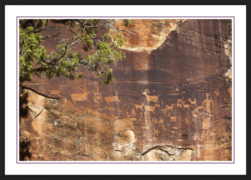 Shay Canyon