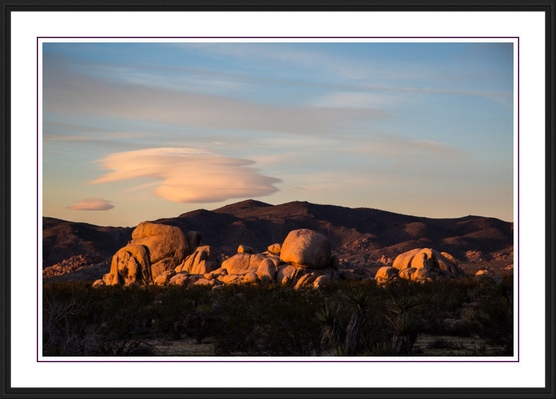 Joshua Tree NP
