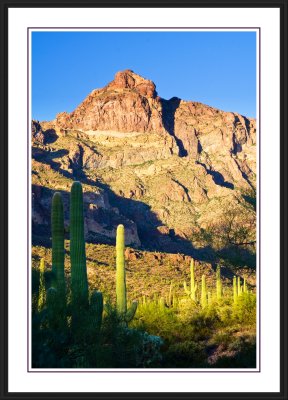 Organ Pipe National Monument