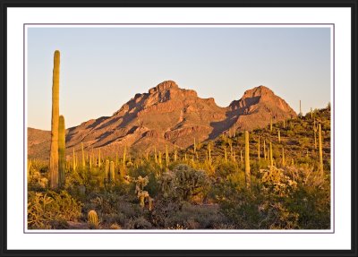 Organ Pipe National Monument