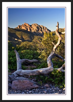 Chiricahua National Monument